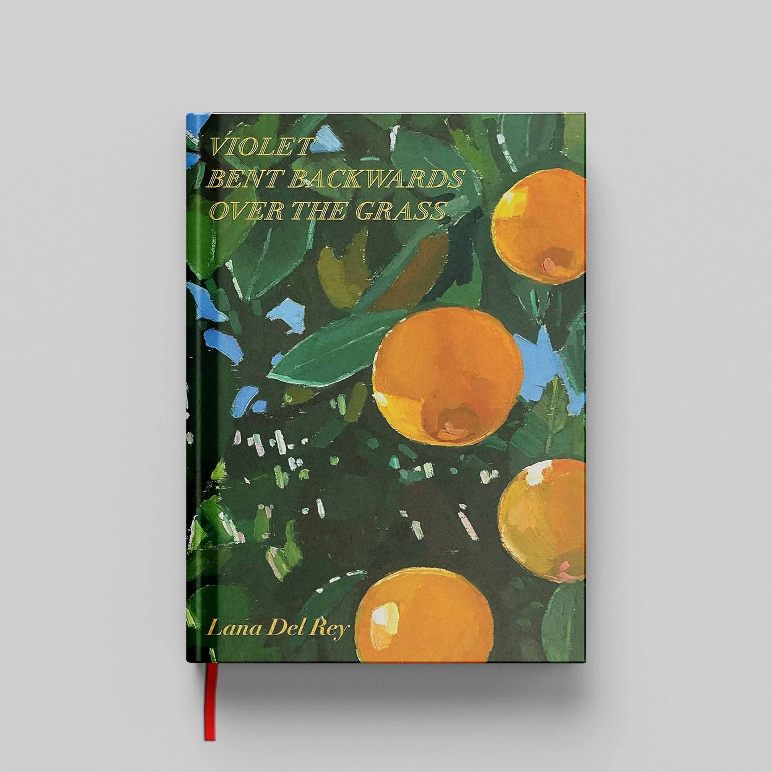 کتاب Violet Bent Backwards over the Grass جلد سخت (HARDCOVER)