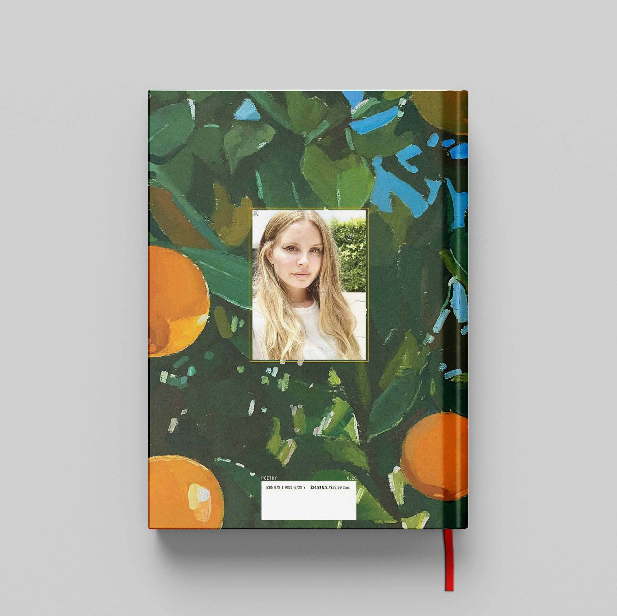 کتاب Violet Bent Backwards over the Grass جلد سخت (HARDCOVER) — تصویر ۲