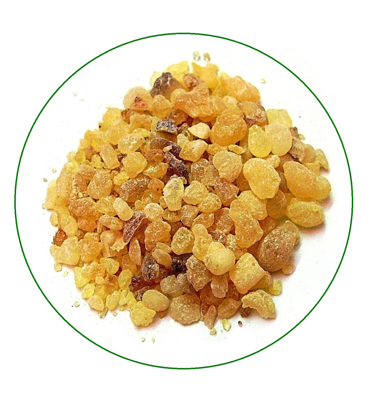 مصطکی – 100 گرم
