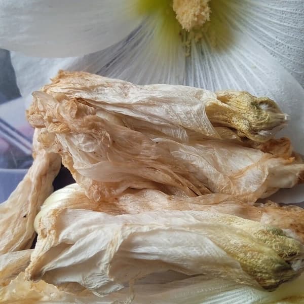 گل ختمی سفید – 250گرمی