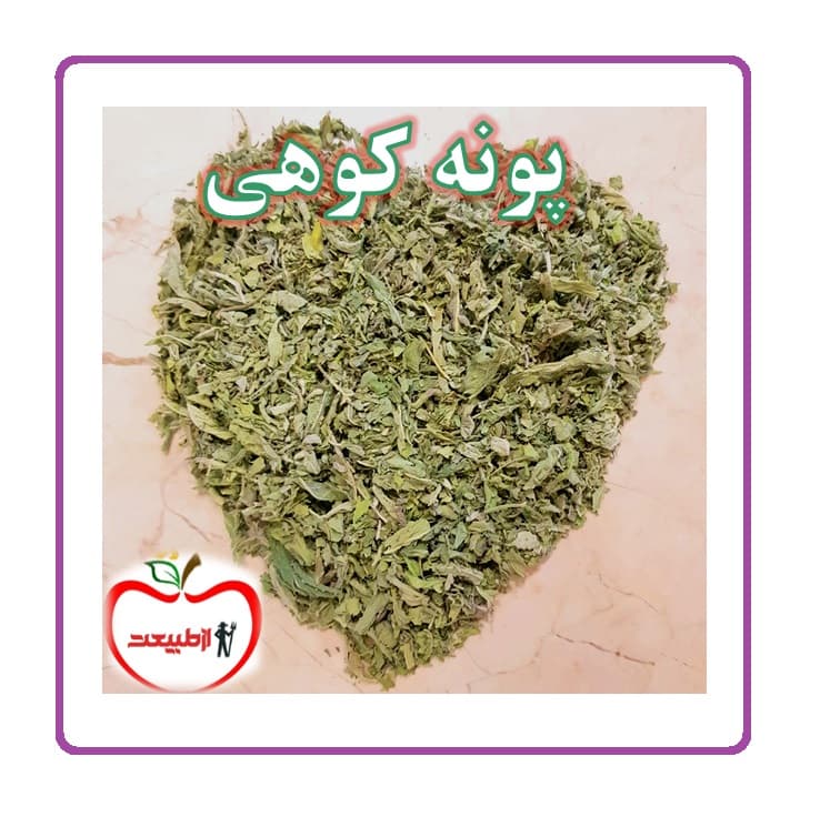 پونه کوهی – 100 گرم