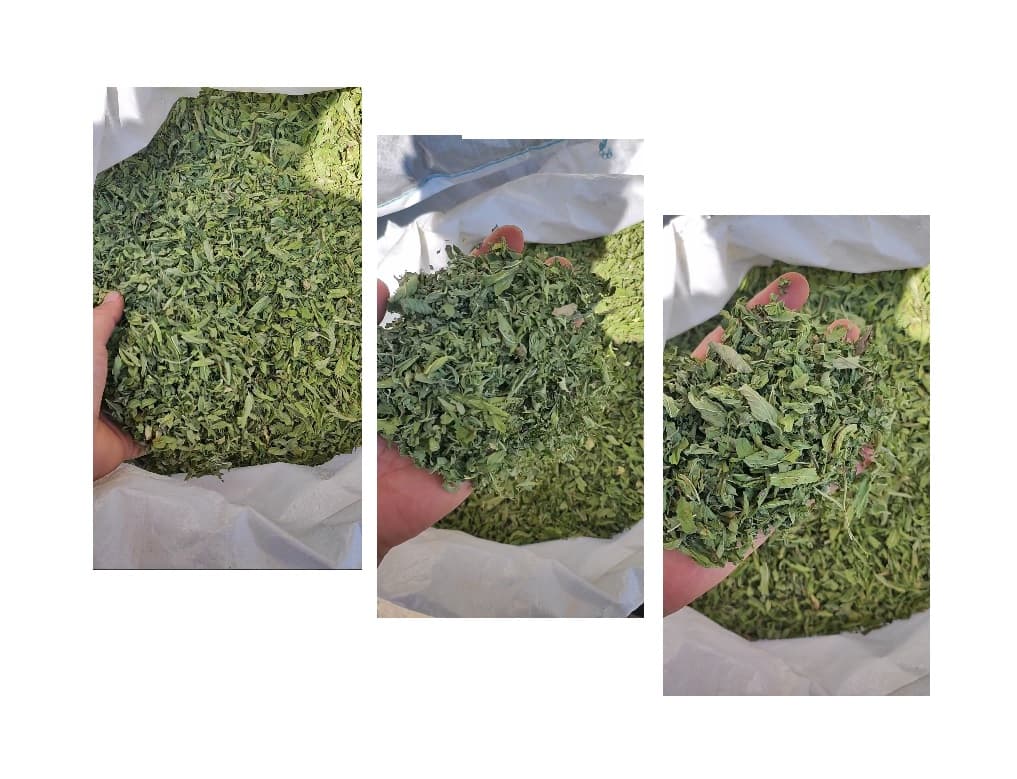 برگ نعنا اعلا – 500گرم