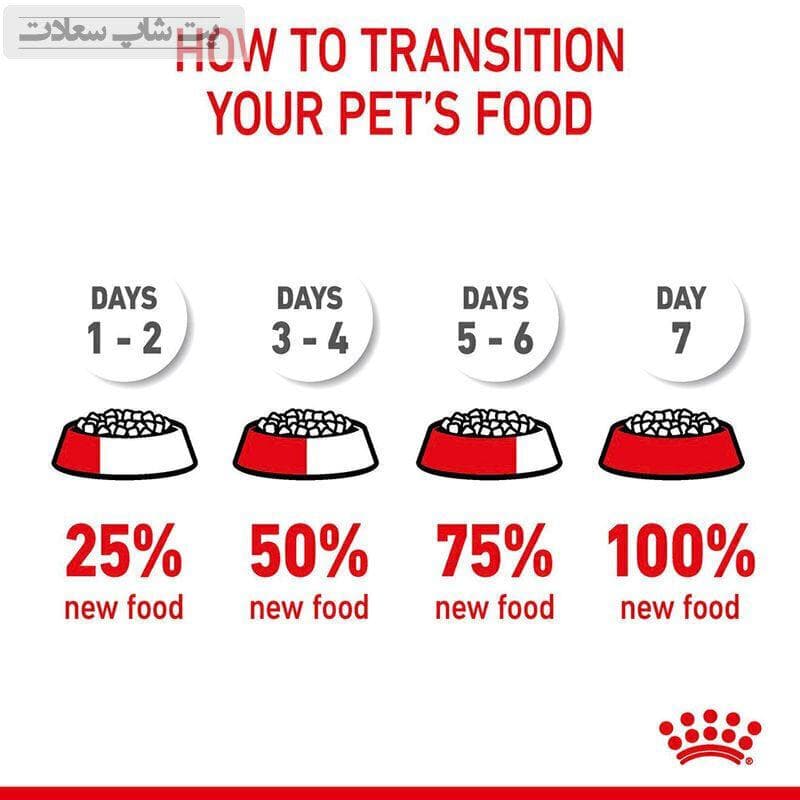 غذای خشک گربه ضد گلولهمویی رویال کنین Royal Canin Hairball Care وزن 2 کیلوگرم — تصویر ۶