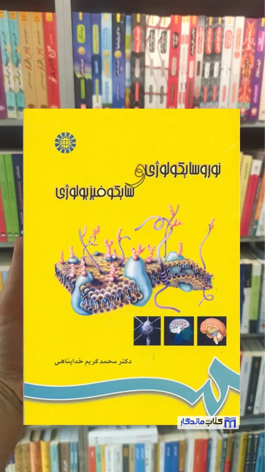 نوروسایکولوژی و سایکوفیزیولوژی خداپناهی سمت
