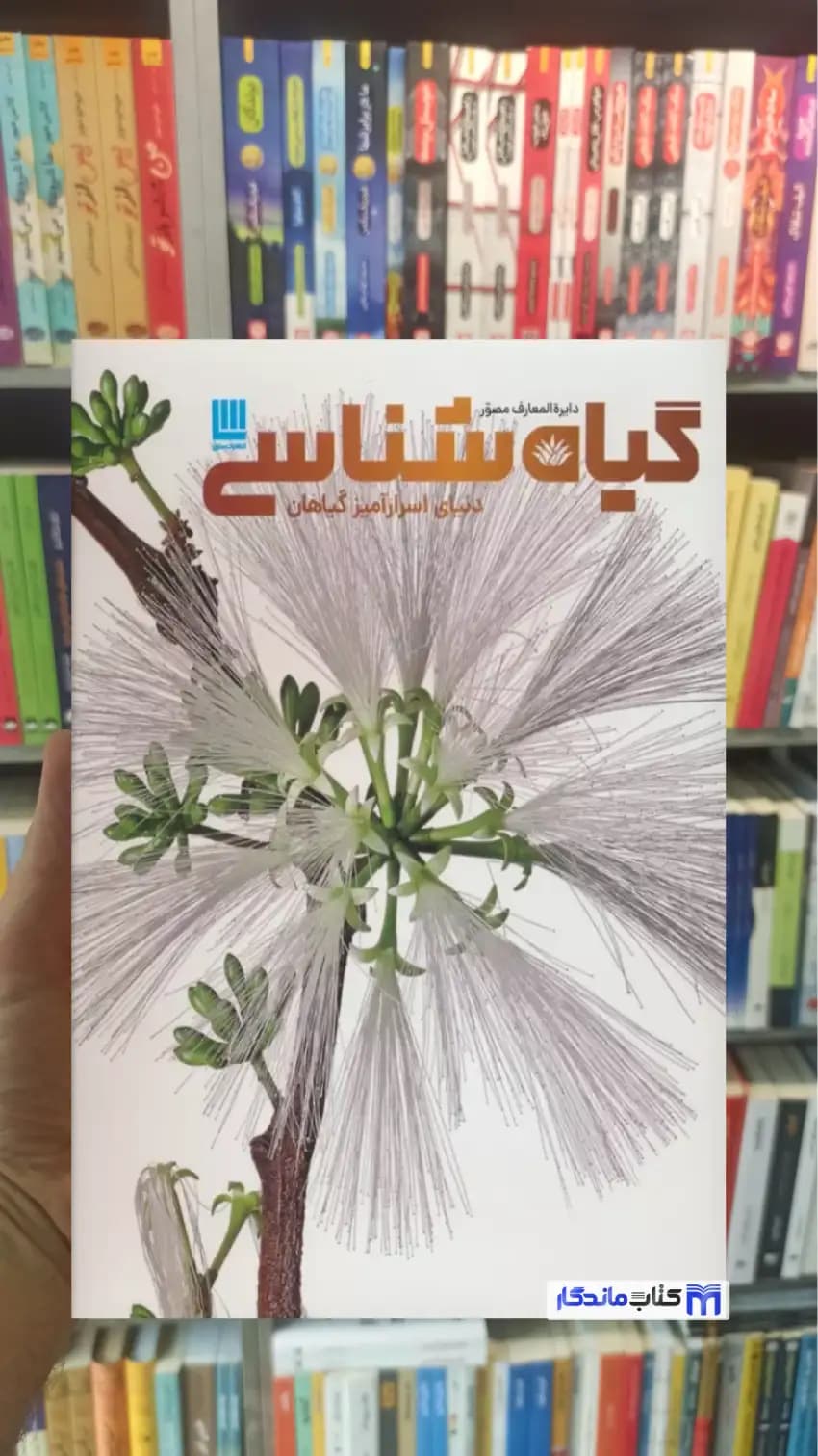 دایره المعارف مصور گیاه شناسی جیمی امبروز سایان