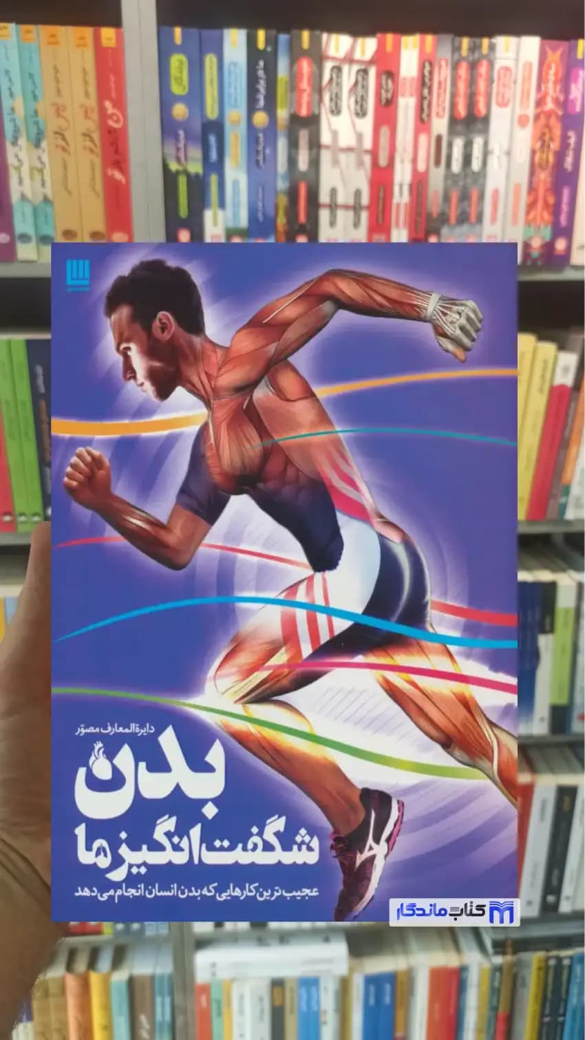 دایره المعارف مصور بدن شگفت انگیز ما استیو پارکر سایان