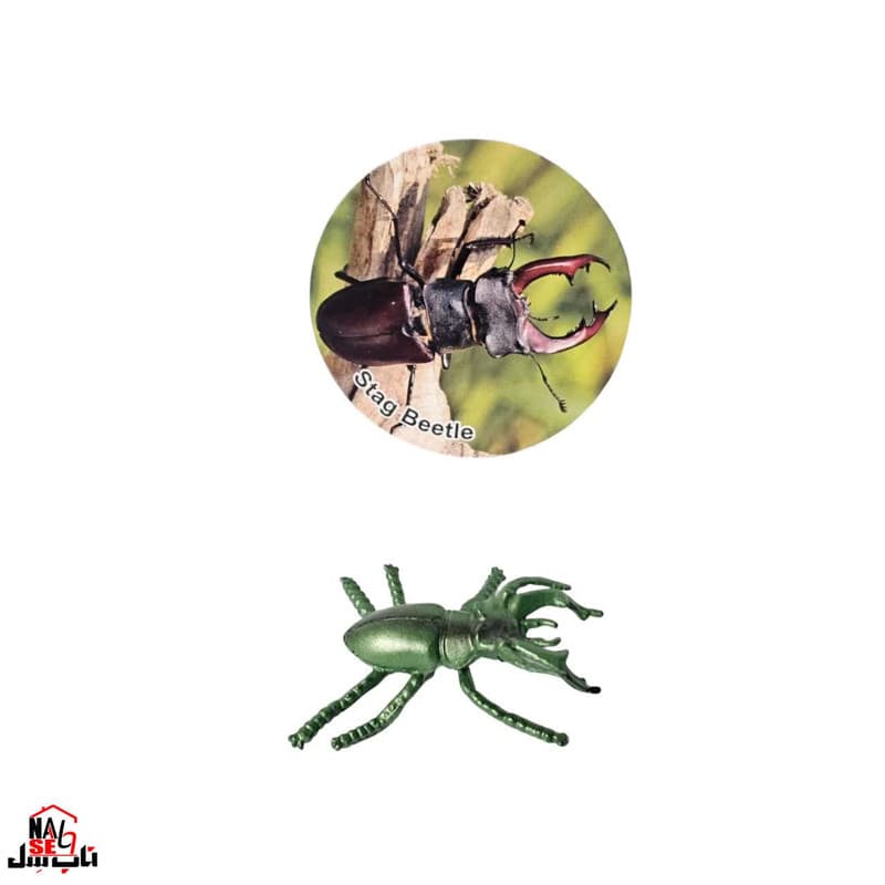 فیگور ناب سل مدل سوسک گوزنی STAG BEETLE ارتفاع 2 سانتی متر — تصویر ۵