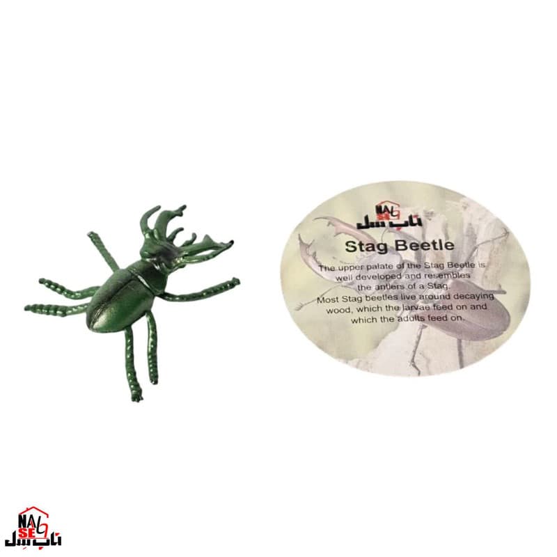 فیگور ناب سل مدل سوسک گوزنی STAG BEETLE ارتفاع 2 سانتی متر — تصویر ۷