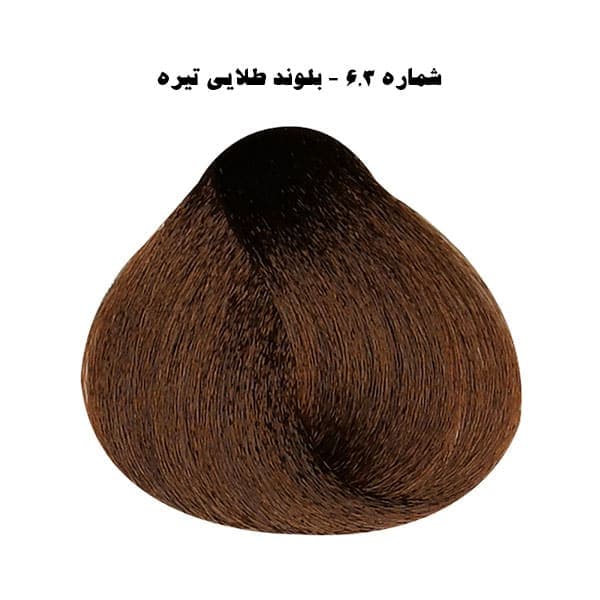 رنگ مو فشینلی بلوند طلایی تیره (6.3) Dark Golden Blonde Fascinelle — تصویر ۲