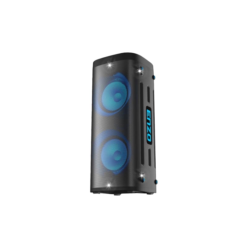 اسپیکر ENZO BOX 890 — تصویر ۲