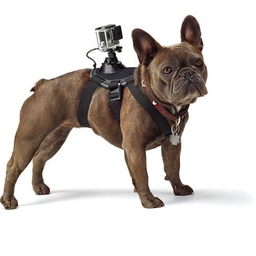 مانت هارنس سگ گوپرو Gopro Dog Harness Mount — تصویر ۳