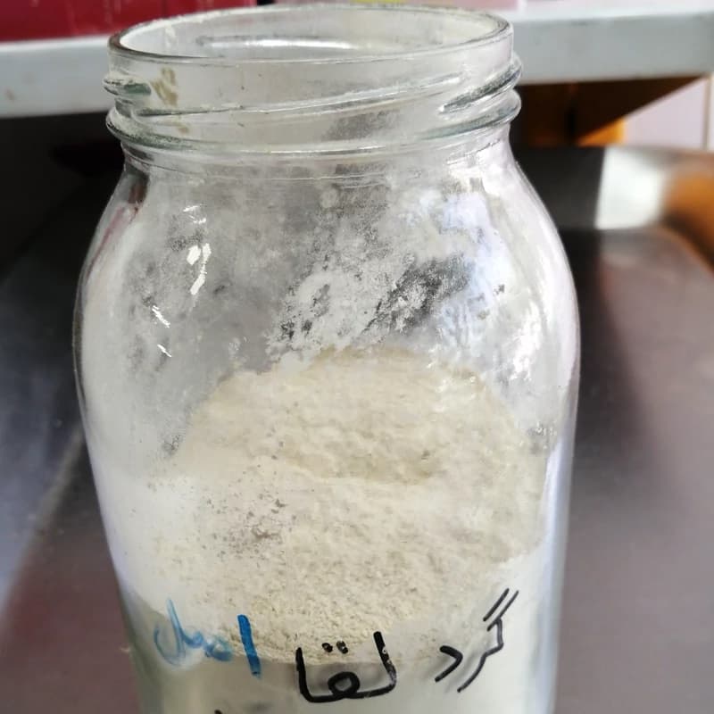 گرد لقاح اصل یک سیر — تصویر ۳