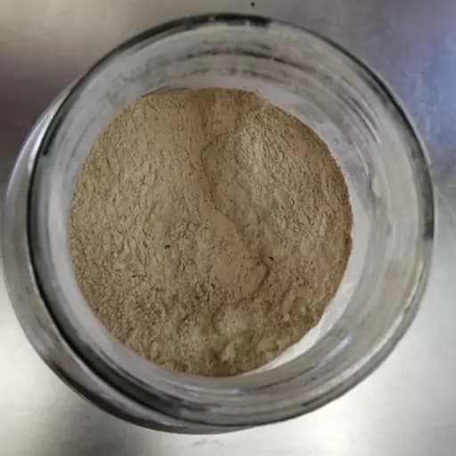 گرد لقاح اصل یک سیر — تصویر ۴