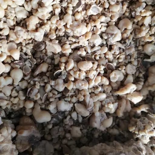کندل 75 گرم — تصویر ۲