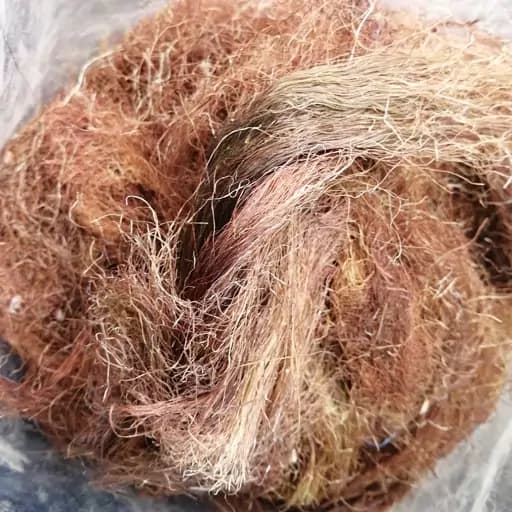 کاکل ذرت 75 گرم