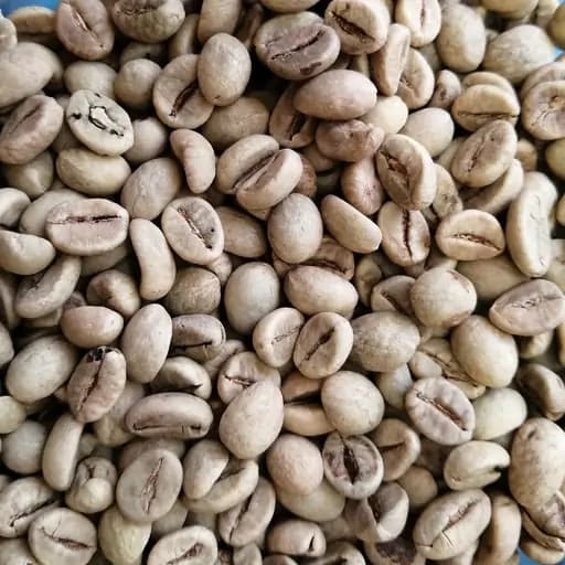 قهوه خام ناکوب — تصویر ۲