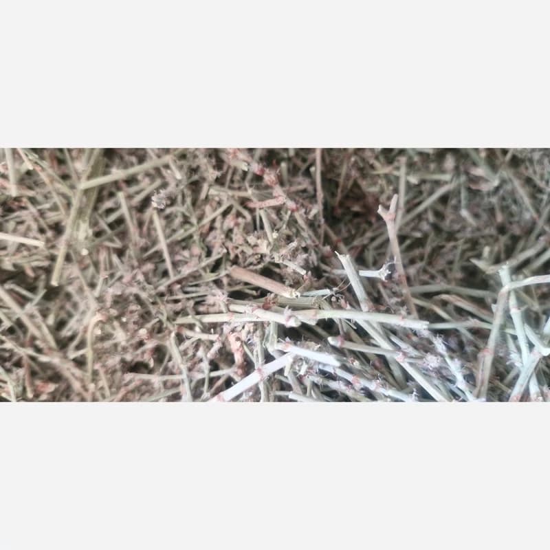 علف هفت بند یا ریشه فرز 75 گرم