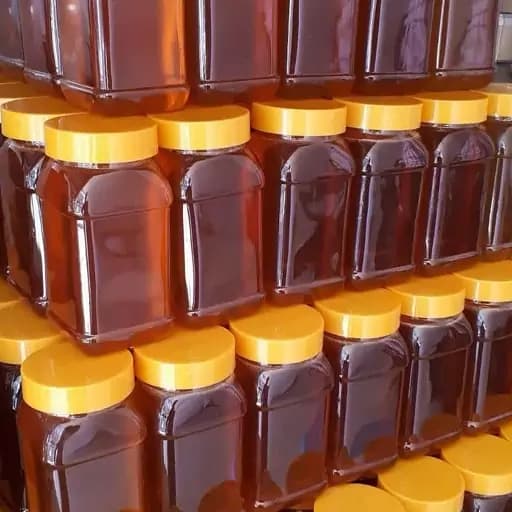 عسل کوهی طبیعی 500گرمی — تصویر ۲