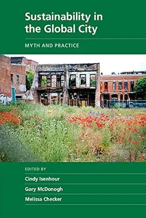 و دانلود نسخه کامل کتاب زبان اصلی Sustainability in the Global City: Myth and Practice (New Directions in Sustainability and Society) PDF | دانلود کتاب خارجی