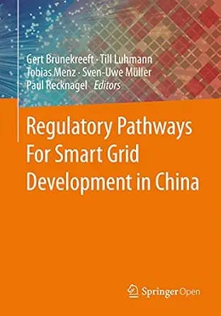 و دانلود نسخه کامل کتاب زبان اصلی Regulatory Pathways For Smart Grid Development in China PDF | دانلود کتاب خارجی