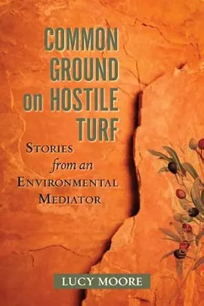 و دانلود نسخه کامل کتاب زبان اصلی Common Ground on Hostile Turf: Stories from an Environmental Mediator PDF | دانلود کتاب خارجی