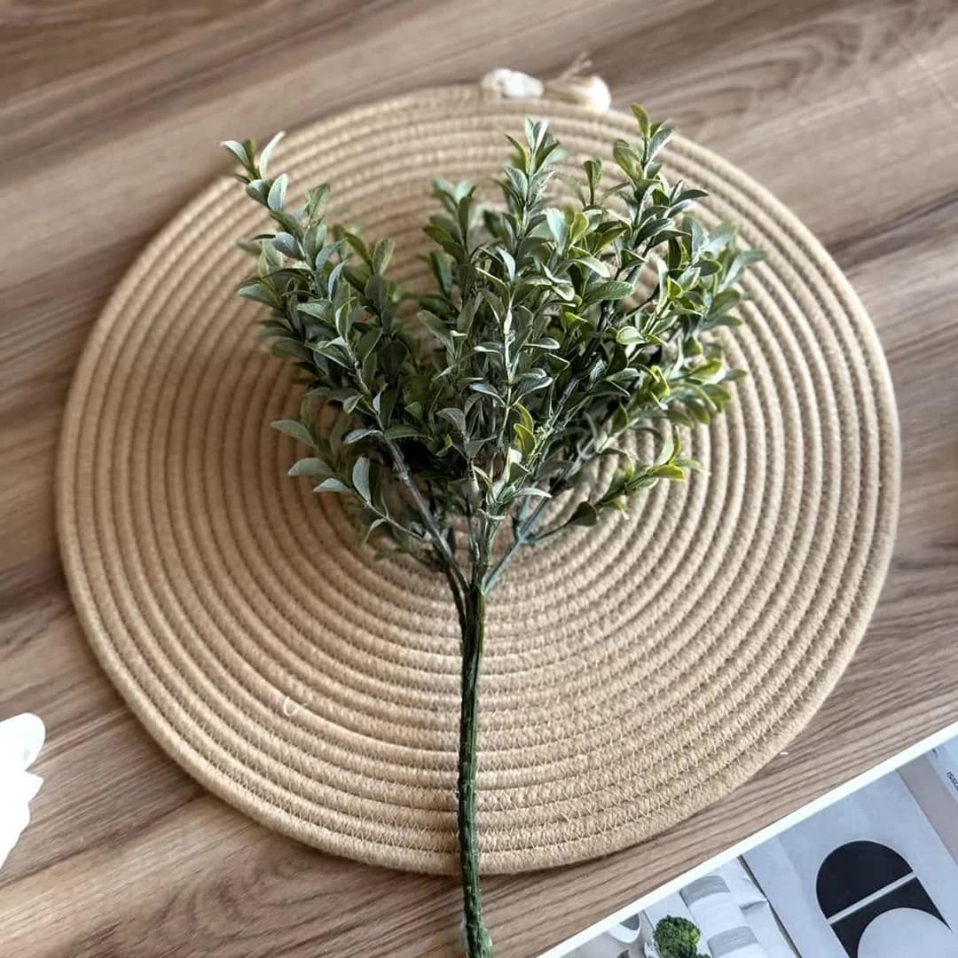 بوته انار — تصویر ۵