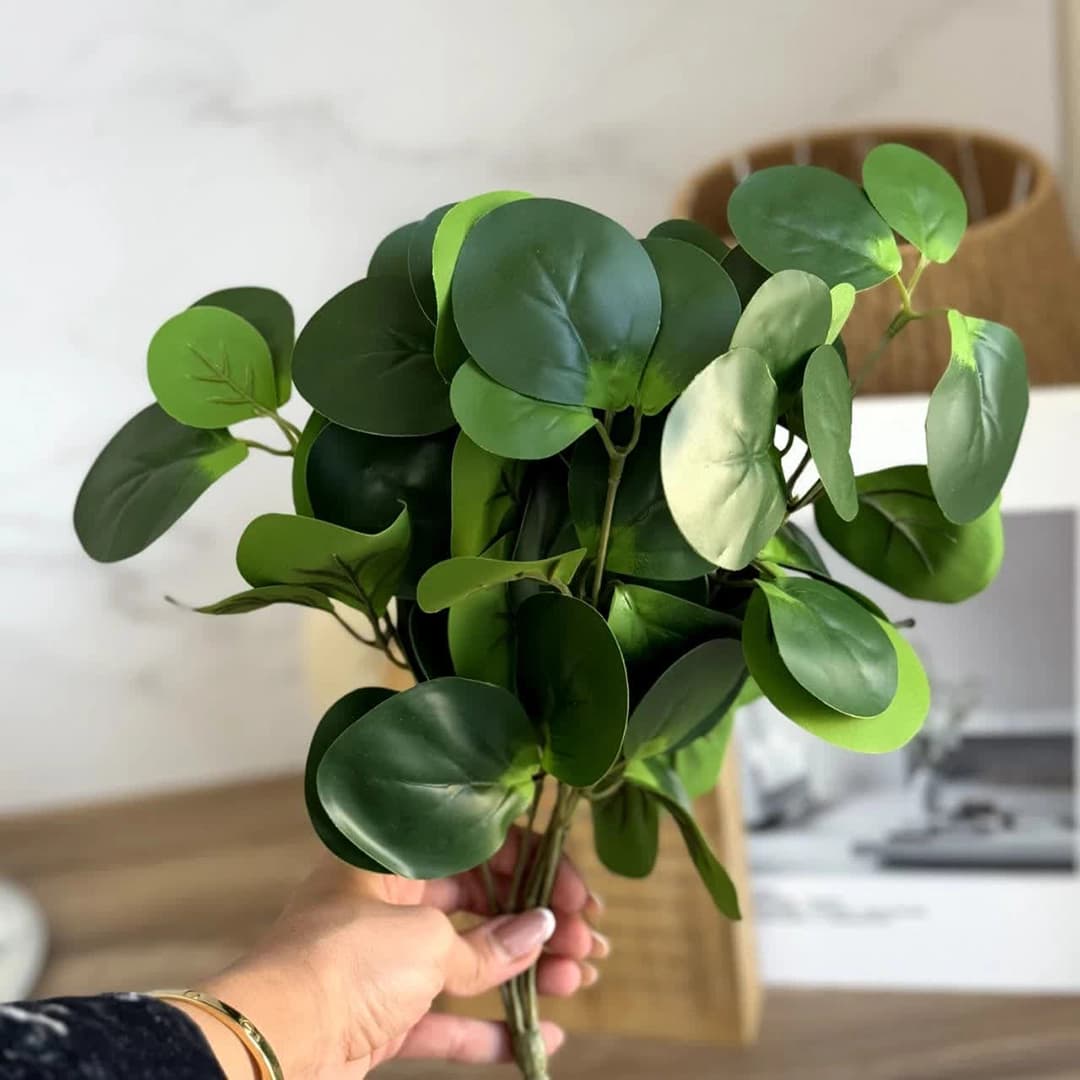 بوته گل قاشقی — تصویر ۳