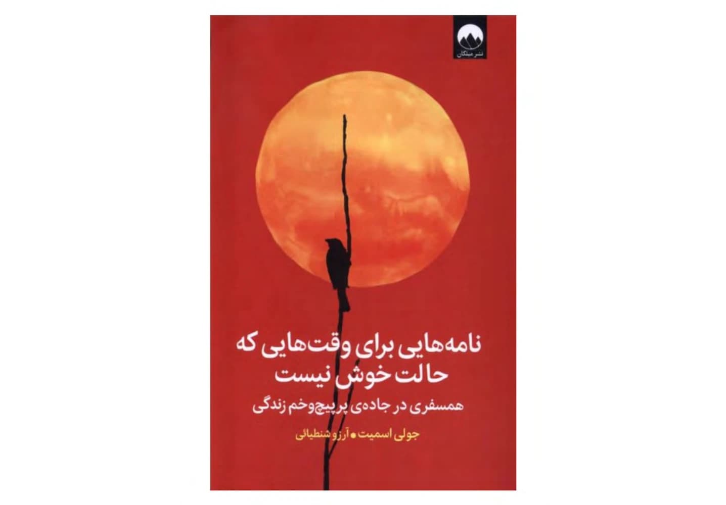 کتاب Letters for Times When You Are Not Feeling Well (نامه‌هایی برای وقت‌هایی که حالت خوش نیست) PDF | جولی اسمیت