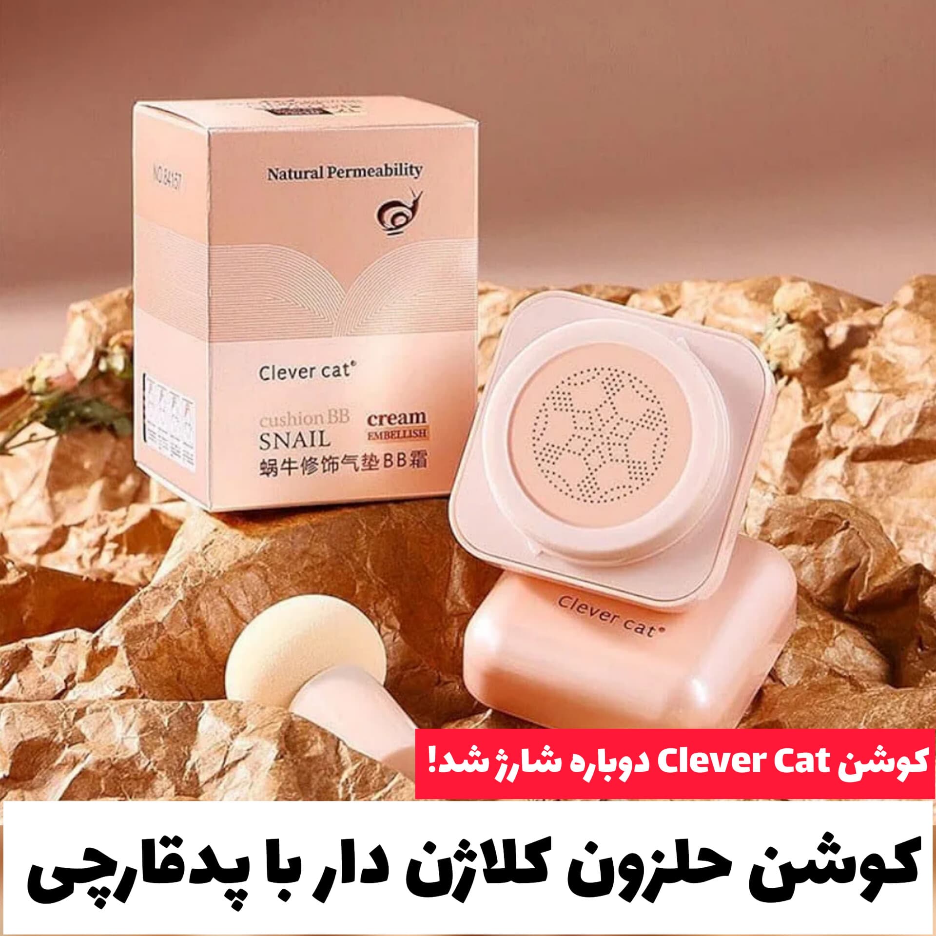 کوشن حلزون کلاژن دار با پدقارچی Clever Cat