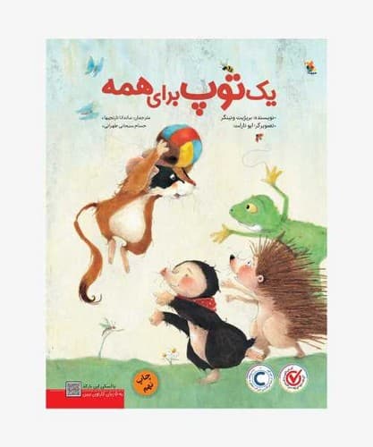 یک توپ برای همه (میچکا) رحلی شومیز