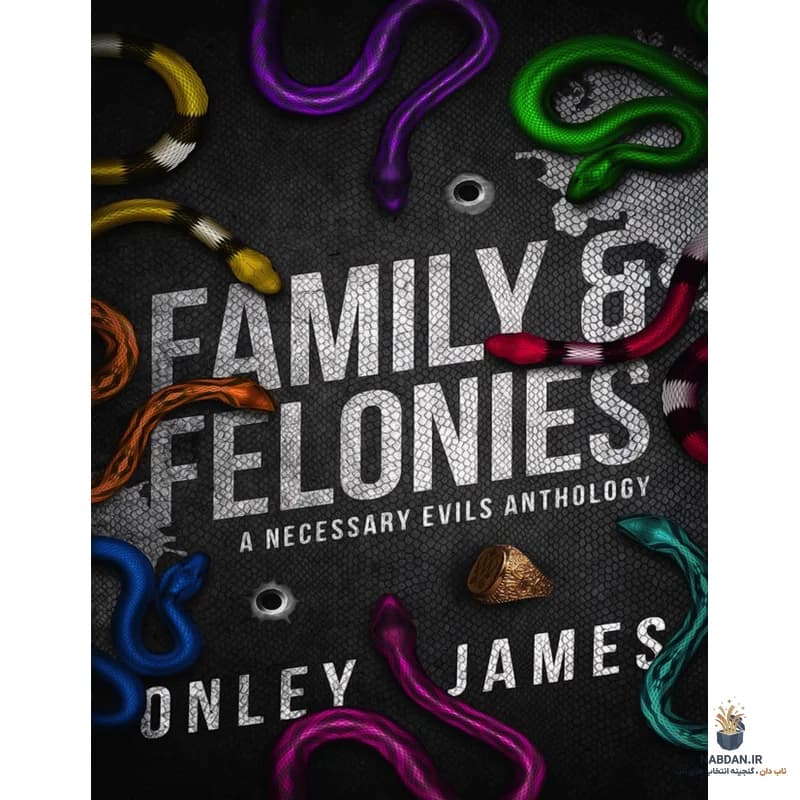 کتاب Family Felonies (جنایت‌های خانوادگی) نسخه انگلیسی PDF | اونلی جیمز