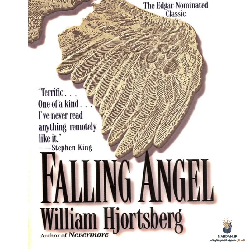 کتاب Falling Angel (فرشته سقوط‌کرده) نسخه انگلیسی PDF | ویلیام هیورتسبرگ