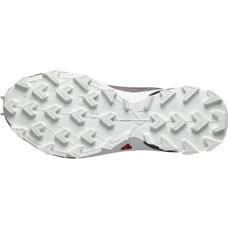 کفش سالومون مدل ALPHACROSS 5 GORE-TEX W 473110 — تصویر ۲