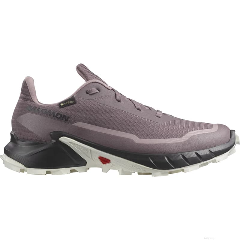 کفش سالومون مدل ALPHACROSS 5 GORE-TEX W 473110