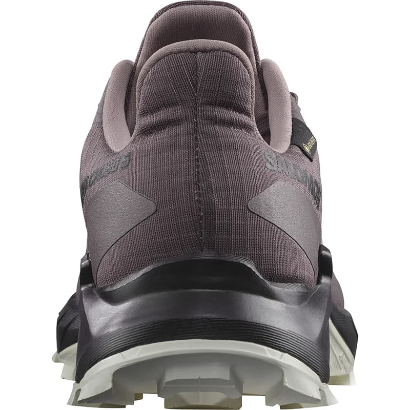 کفش سالومون مدل ALPHACROSS 5 GORE-TEX W 473110 — تصویر ۴