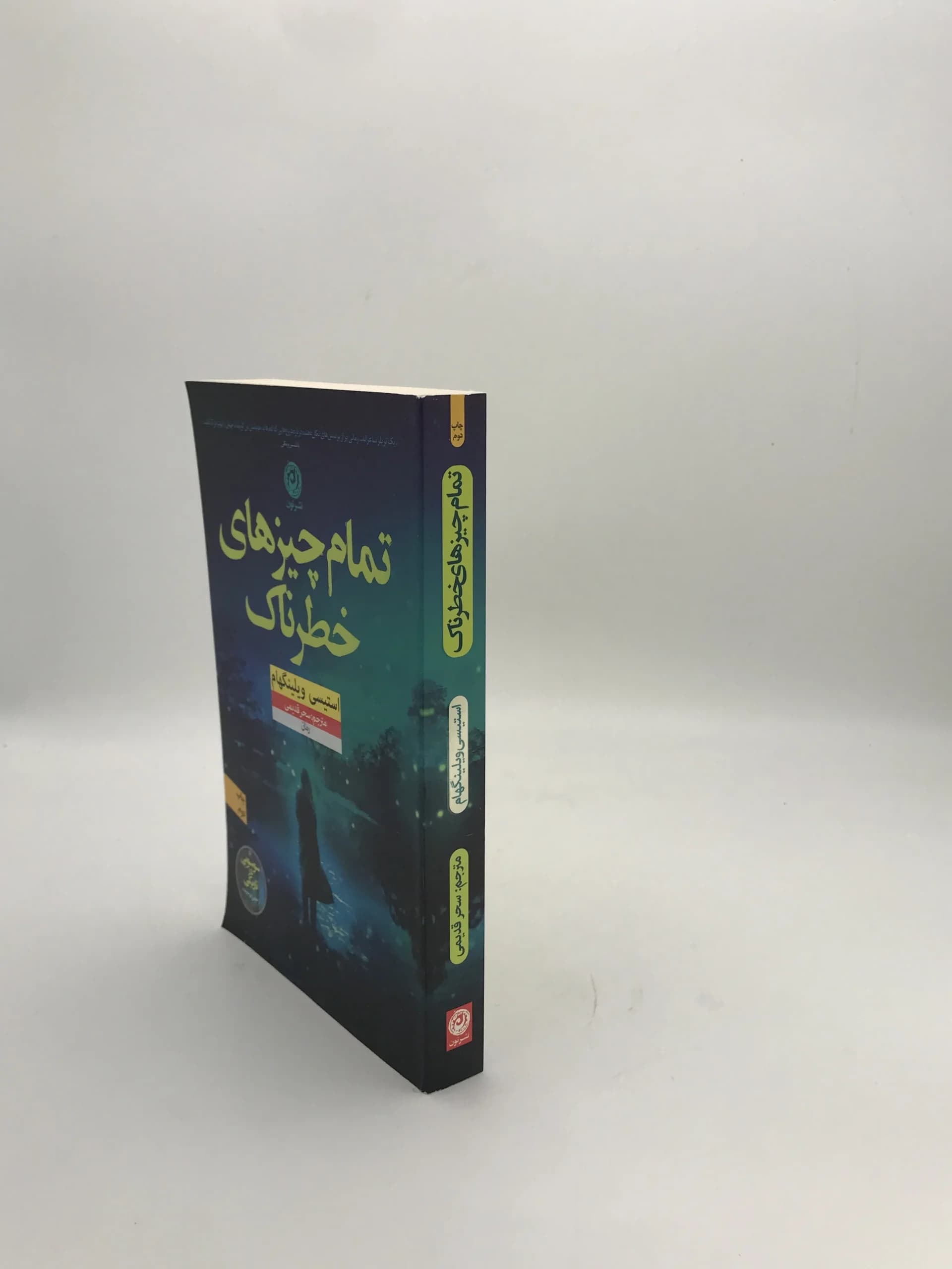تمام چیزهای خطرناک نوشته استیسی ویلینگهام — تصویر ۳