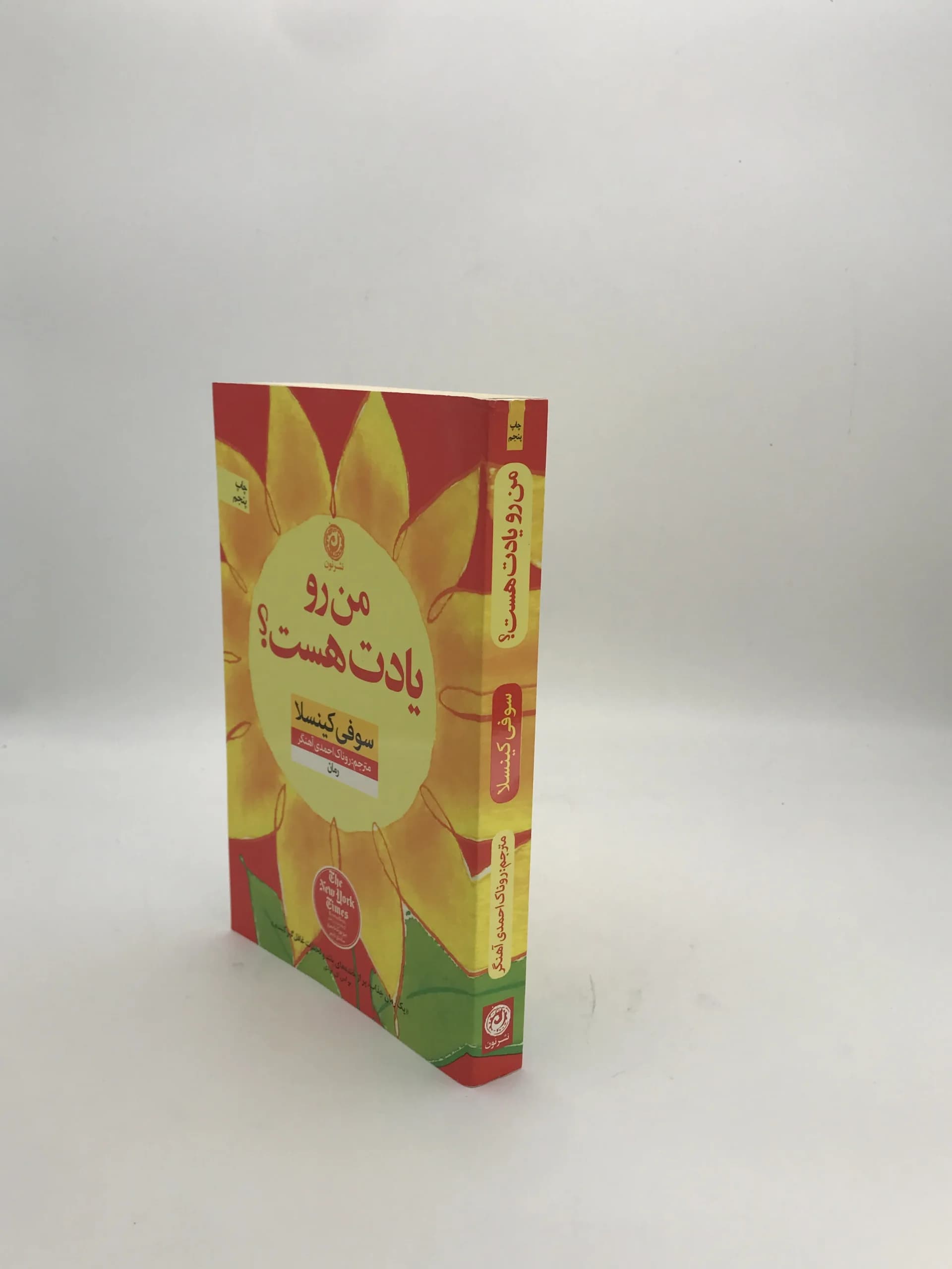 من رو یادت هست؟ نوشته سوفی کینسلا — تصویر ۳