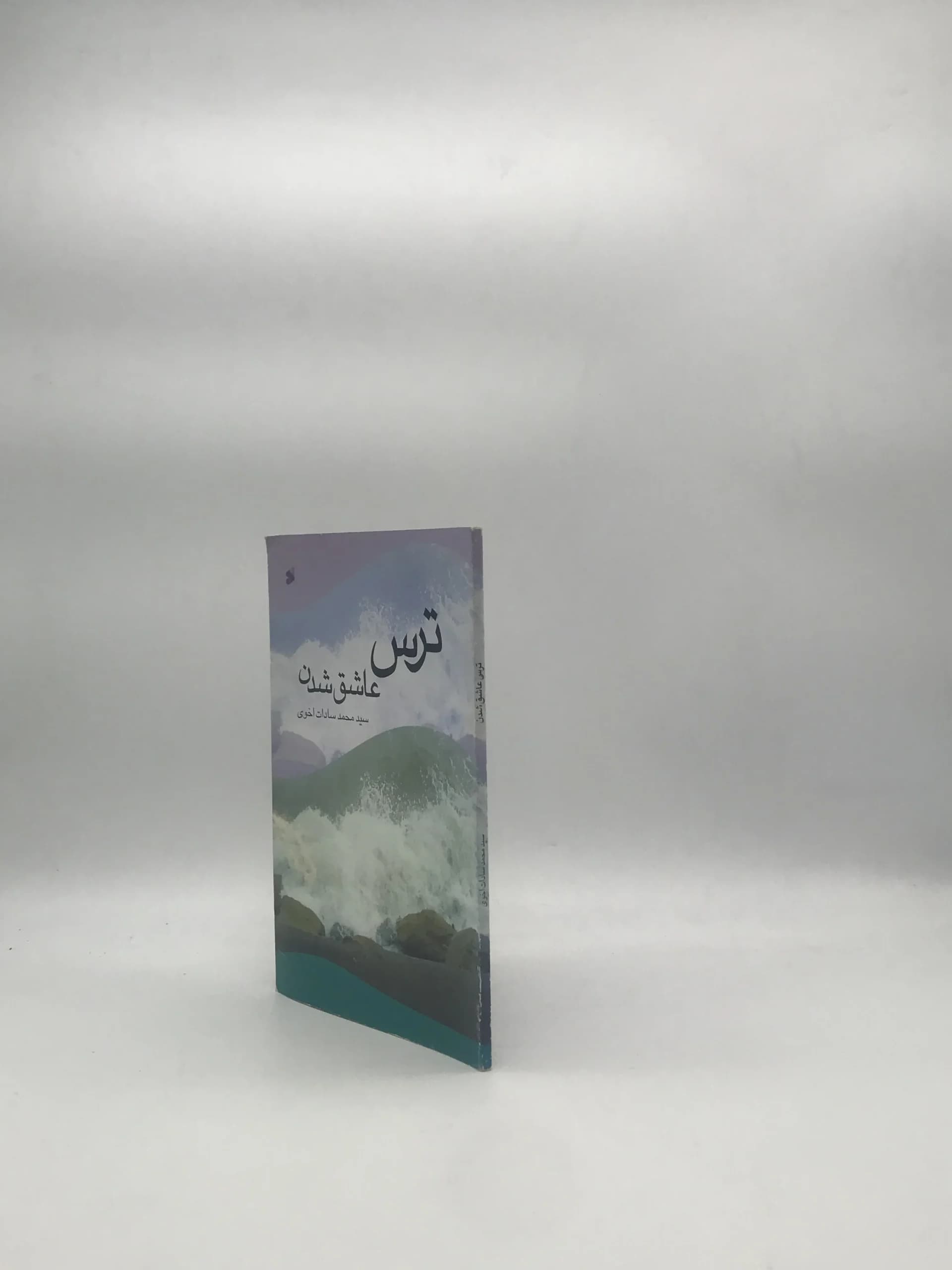 ترس عاشق شدن — تصویر ۳