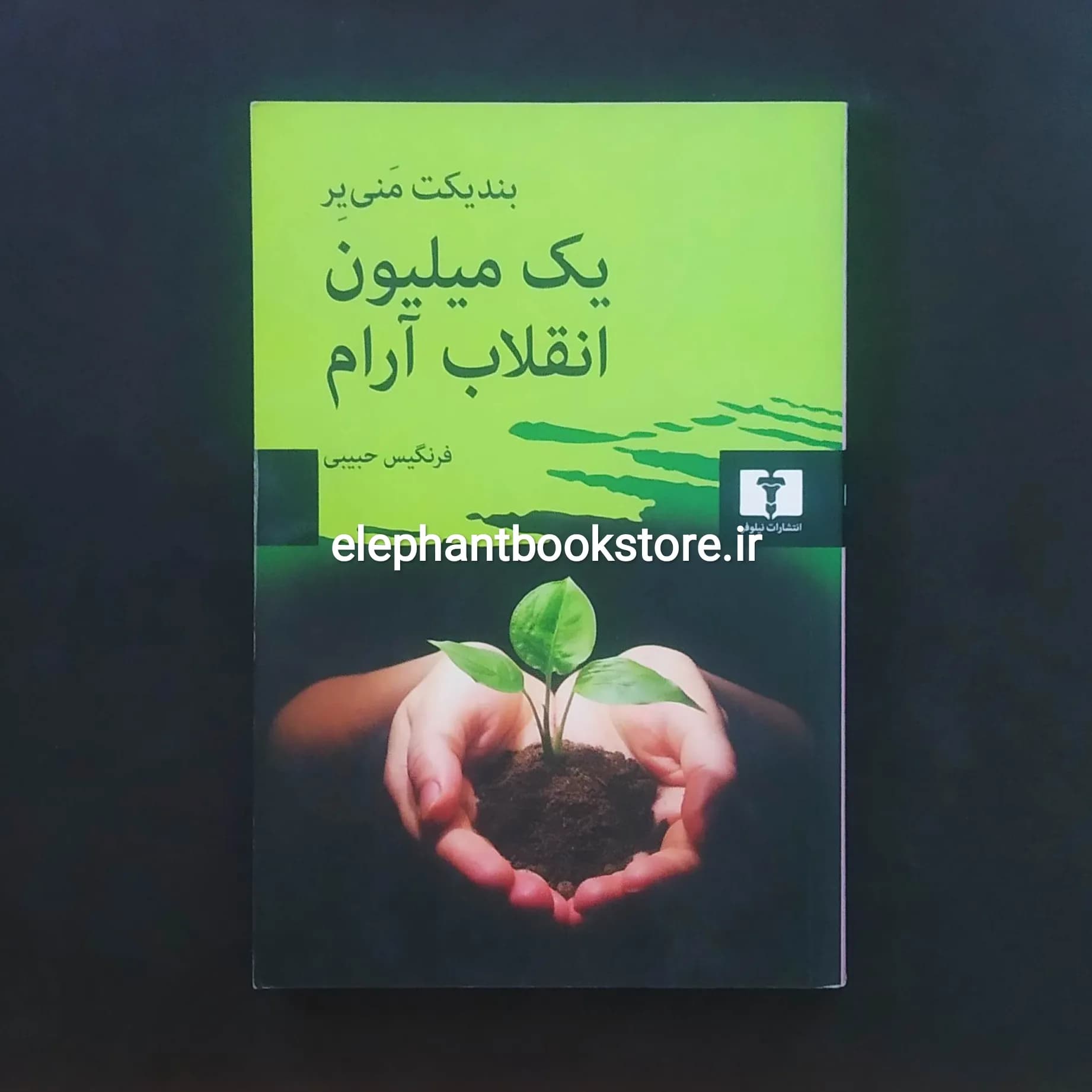 کتاب یک میلیون انقلاب آرام اثر بندیکت منی یر