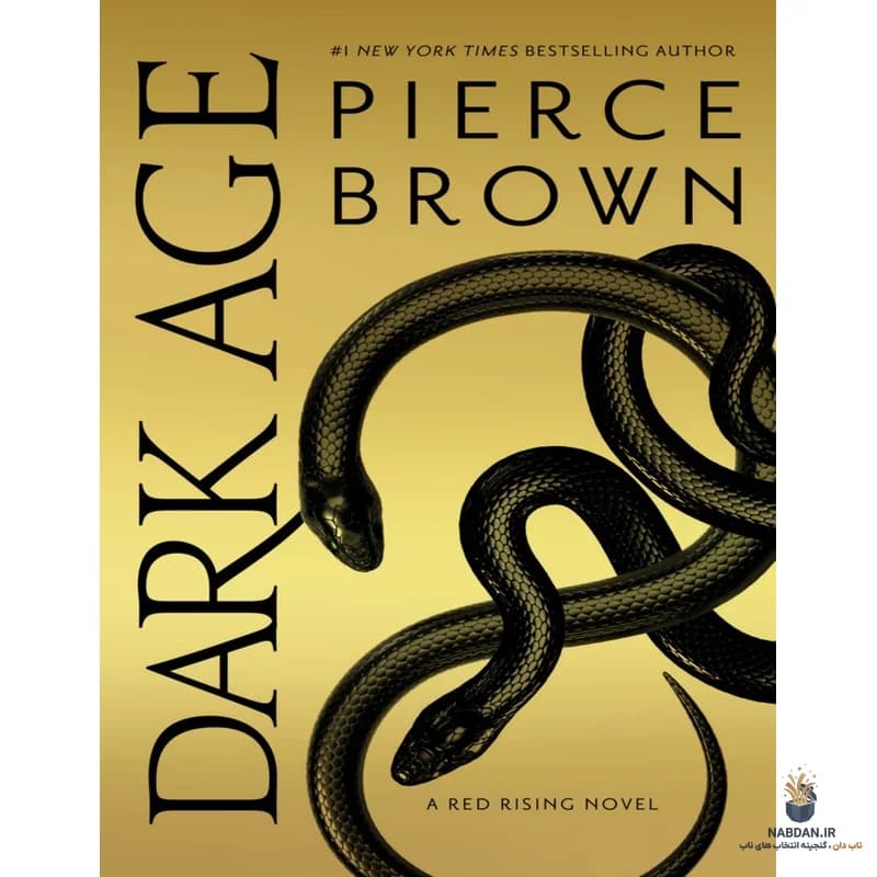 کتاب Dark Age (عصر تاریک) نسخه انگلیسی PDF | پیرس براون — تصویر ۲