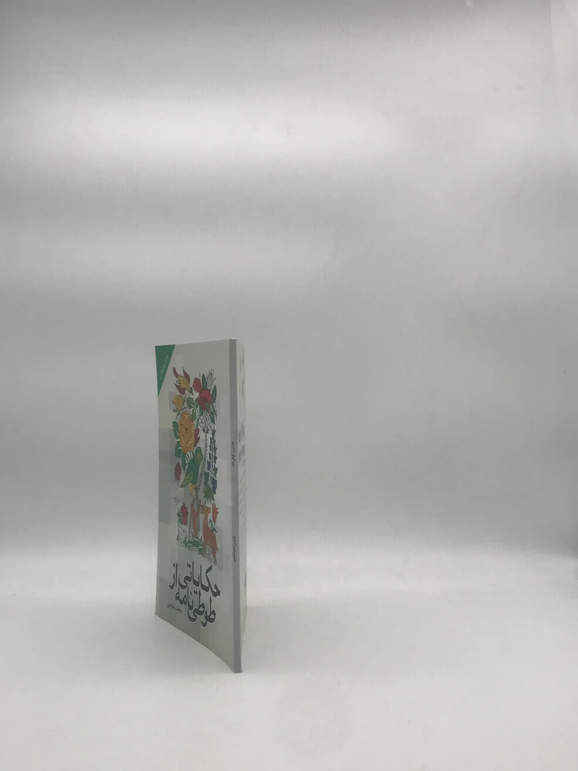 حکایاتی از طوطی نامه از مجید شفیعی — تصویر ۳