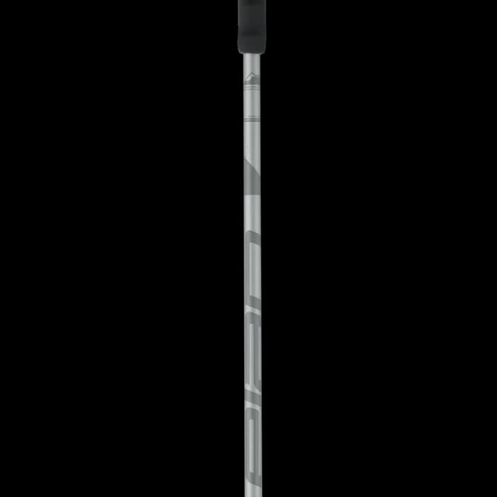 باتوم اسکی آلپاین ELAN SPEEDROD GREY 2025 — تصویر ۲
