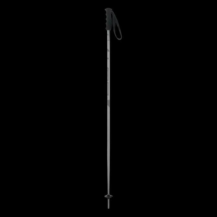 باتوم اسکی آلپاین ELAN SPEEDROD GREY 2025
