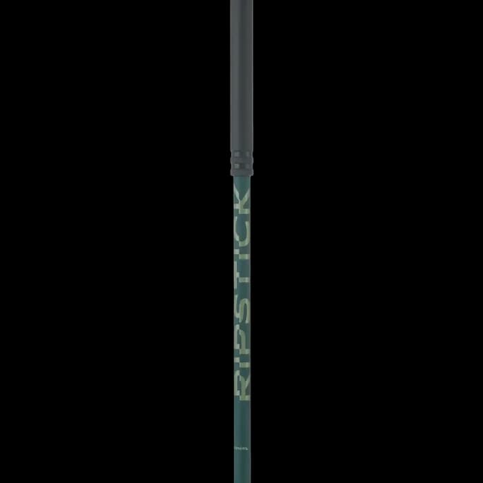 باتوم اسکی آلپاین ELAN RIPSTICKROD M 2025 — تصویر ۲
