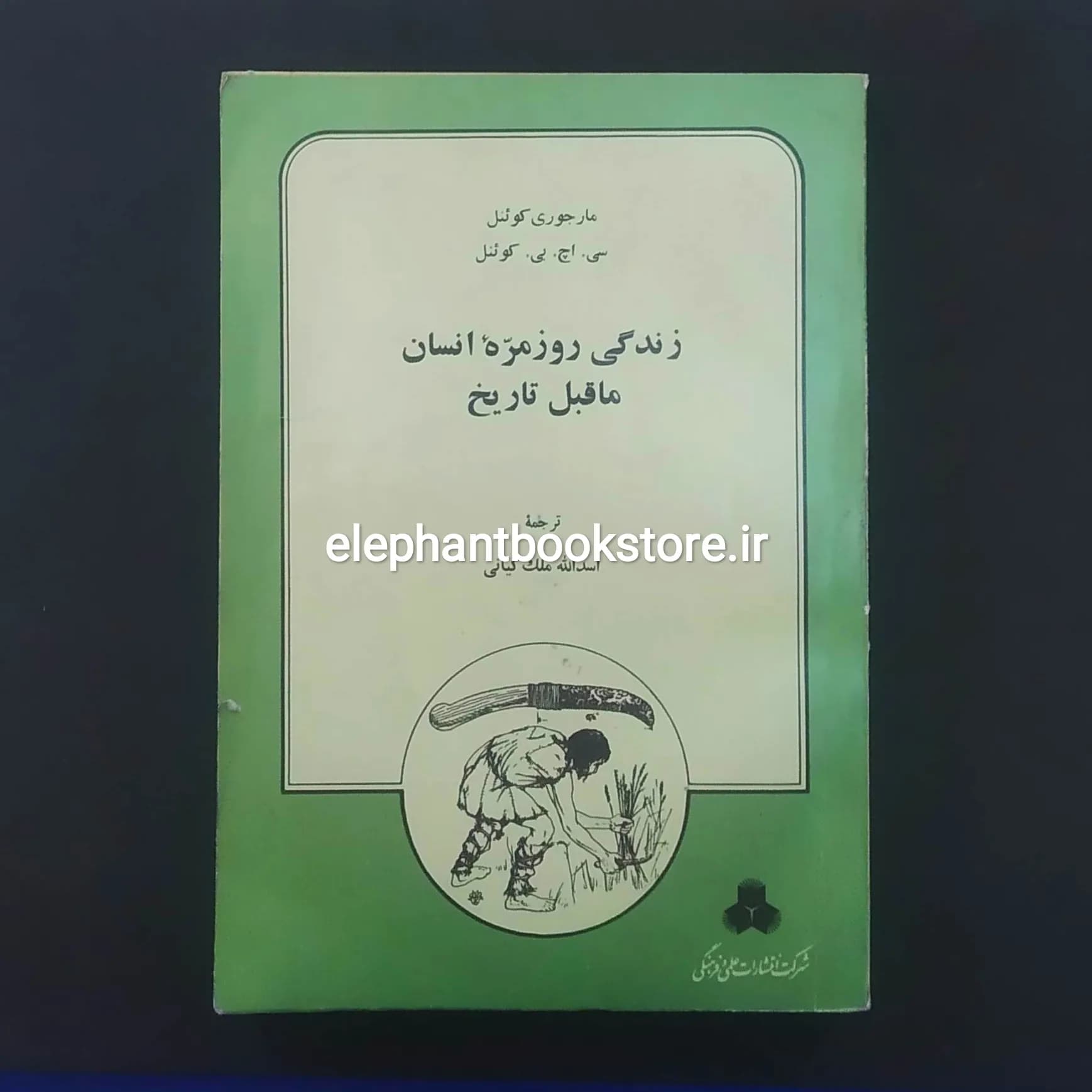 کتاب زندگی روزمره انسان ماقبل تاریخ