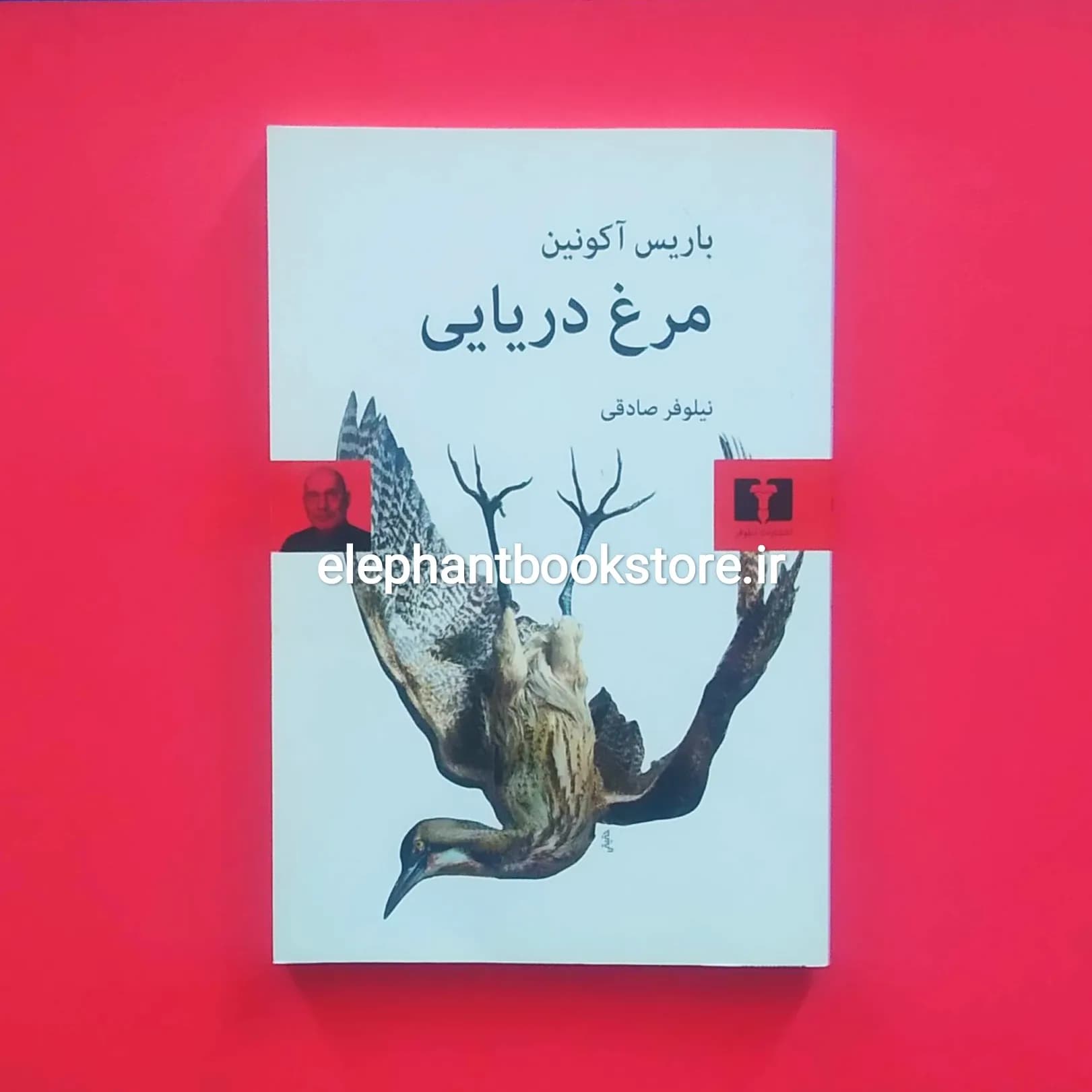 کتاب مرغ دریایی اثر باریس آکونین