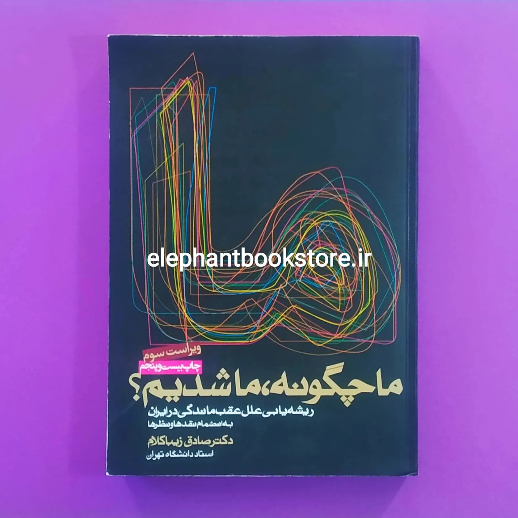 کتاب ما چگونه ما شدیم اثر صادق زیباکلام