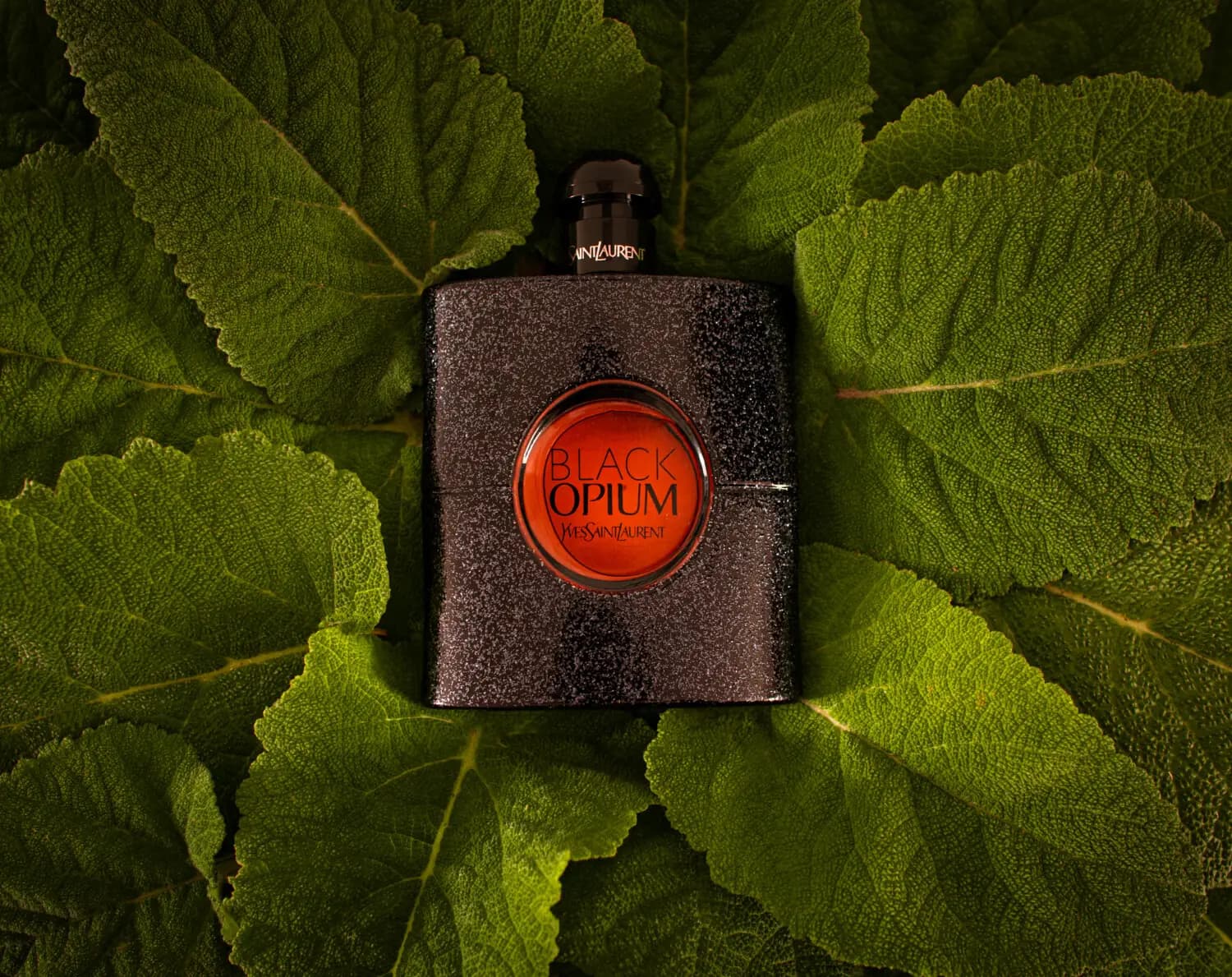 عطر ادکلن ایو سن لورن بلک اپیوم اصل | Yves Saint Laurent Black opium — تصویر ۹