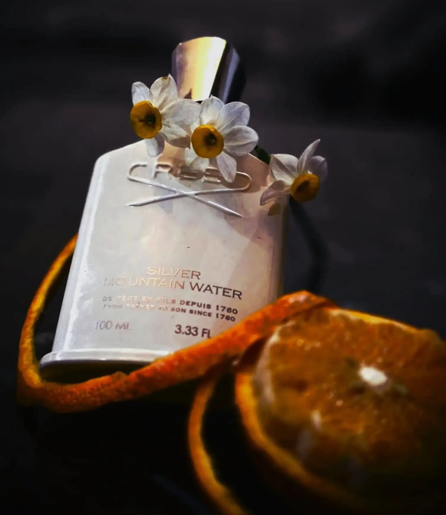عطر ادکلن کرید سیلور مانتین واتر اصل | Creed Silver Mountain Water — تصویر ۱۰