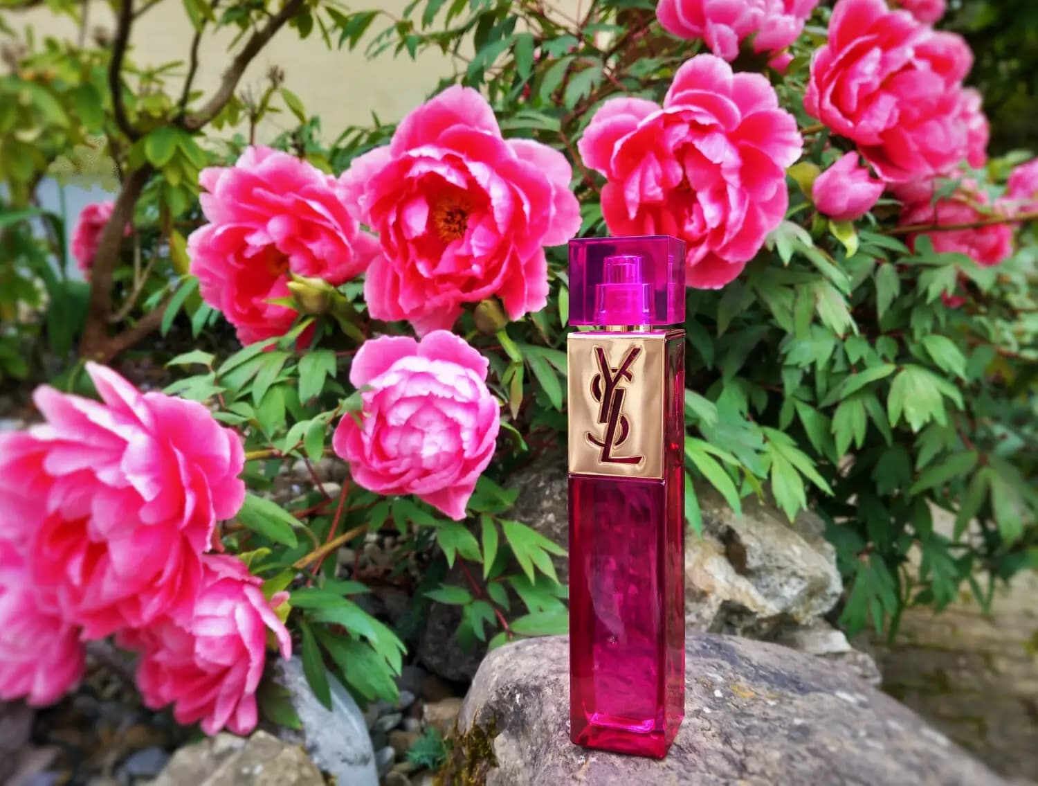 عطر ادکلن ایو سن لورن اله اصل | Yves Saint Laurent elle — تصویر ۷